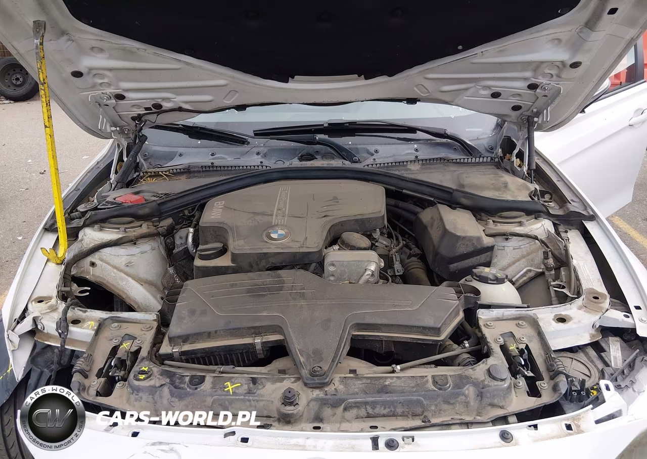 2015 BMW 320I xDrive VIN:WBA3C3G52FNS74641 - 10