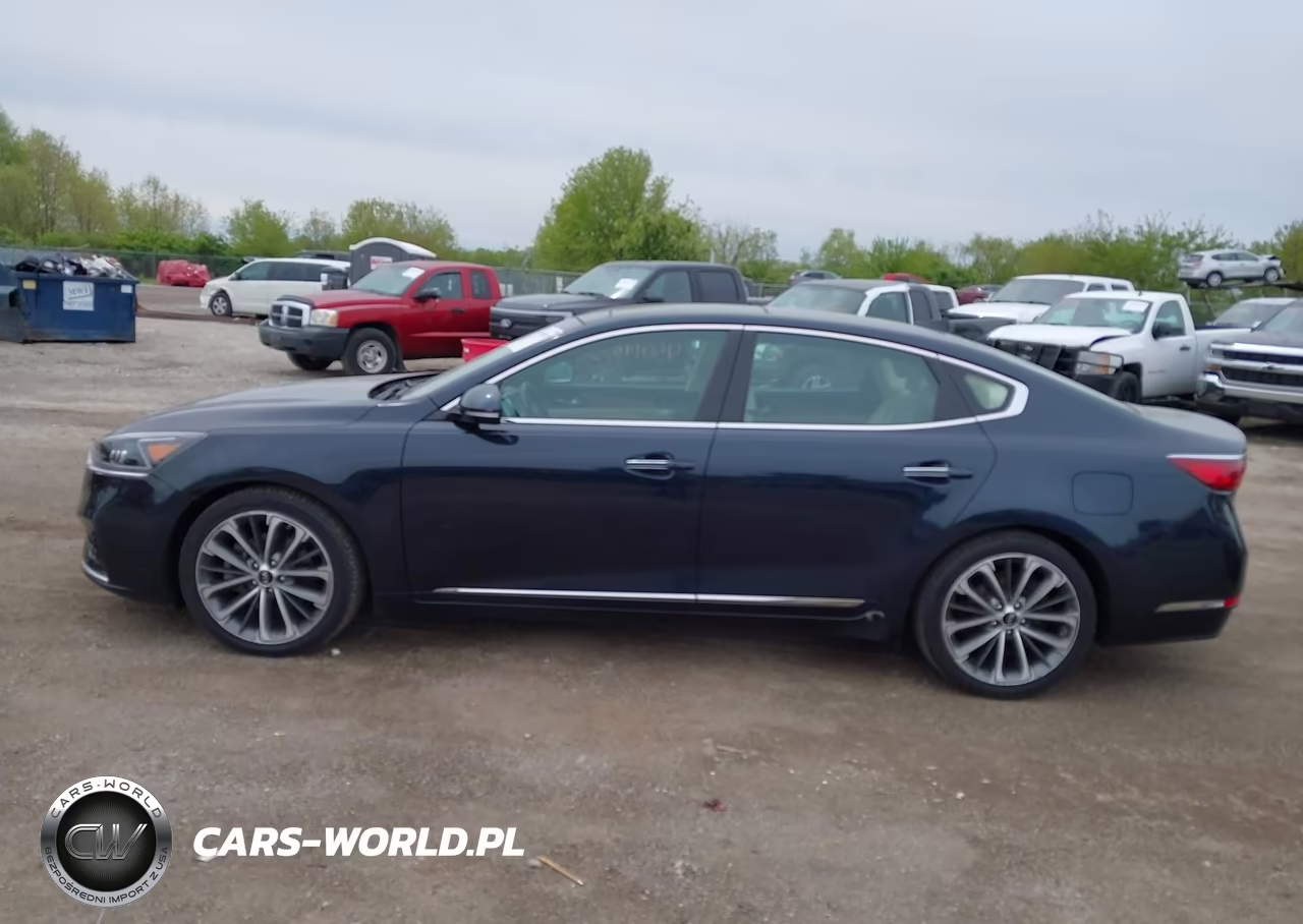 2017 Kia Cadenza Technology VIN:KNALC4J12H5063986 - 14