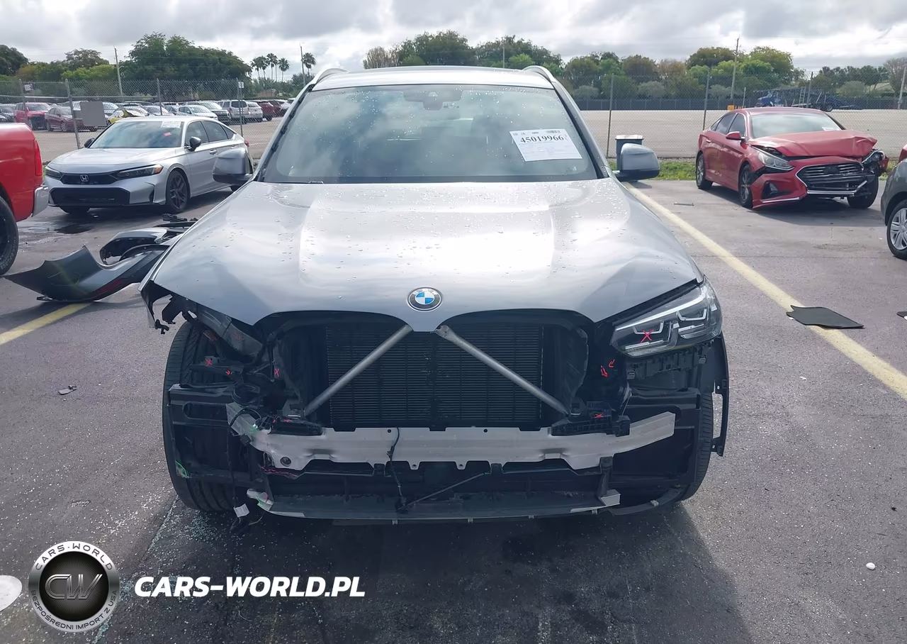 2023 BMW X3 Sdrive30I VIN:5UX43DP02P9N67336 - 12