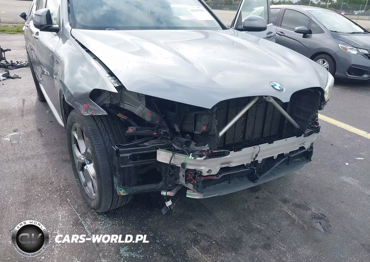 2023 BMW X3 Sdrive30I VIN:5UX43DP02P9N67336 - 6