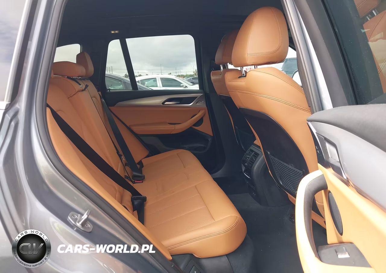 2023 BMW X3 Sdrive30I VIN:5UX43DP02P9N67336 - 8