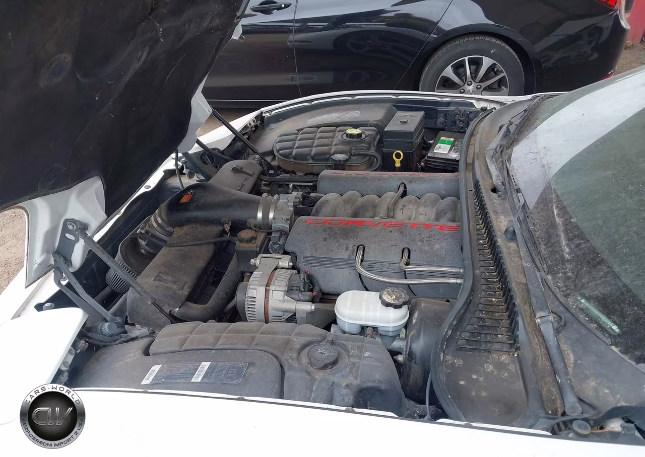 1997 Chevrolet Corvette VIN:1G1YY22G4V5109212 - 10