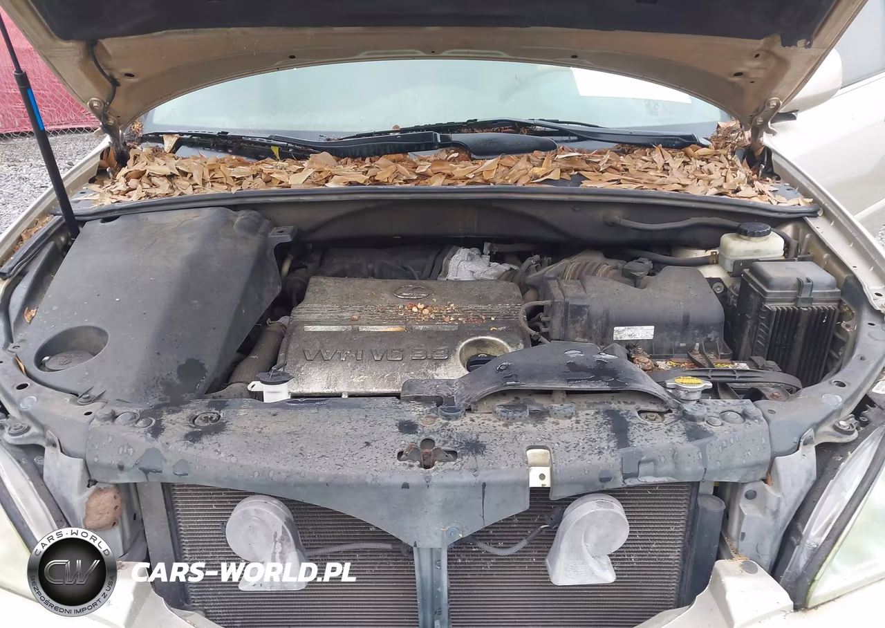 2006 Lexus Rx 330 VIN:2T2GA31U36C047581 - 10