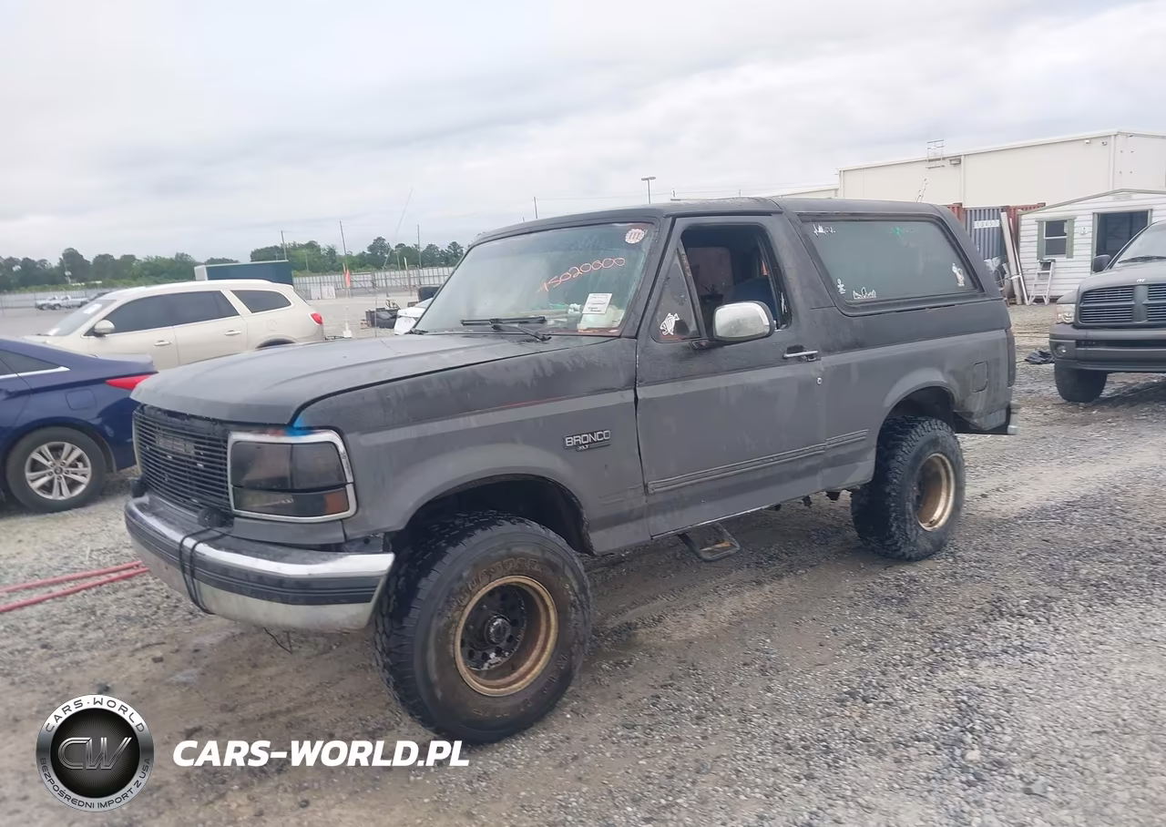 1994 Ford Bronco U100 VIN:1FMEU15N9RLA12921 - 2