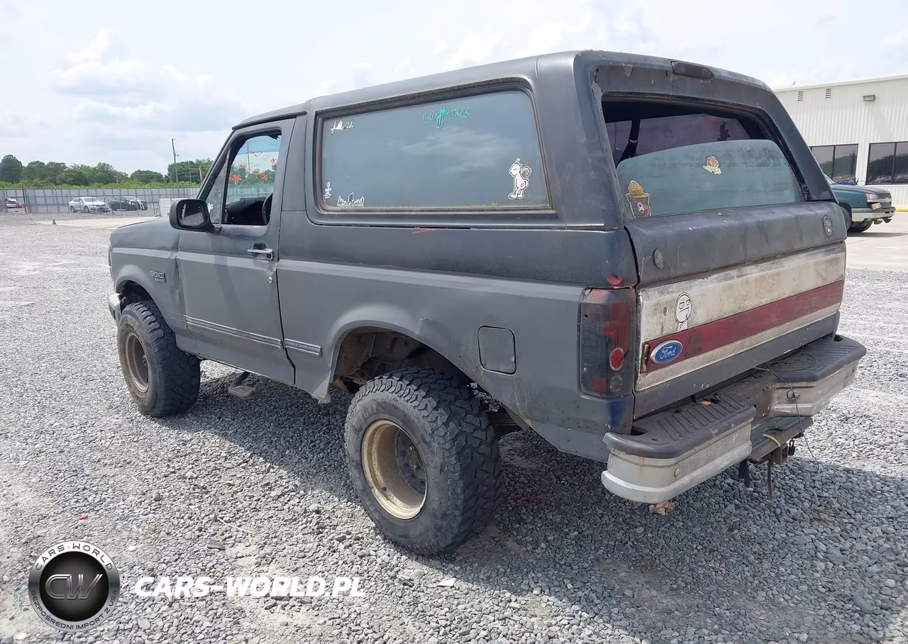 1994 Ford Bronco U100 VIN:1FMEU15N9RLA12921 - 3