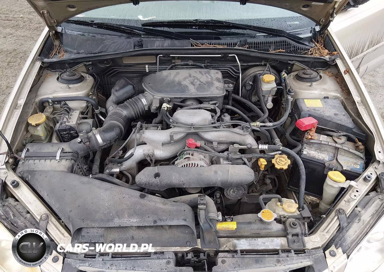 2009 Subaru Outback 2.5I VIN:4S4BP61C597310483 - 10