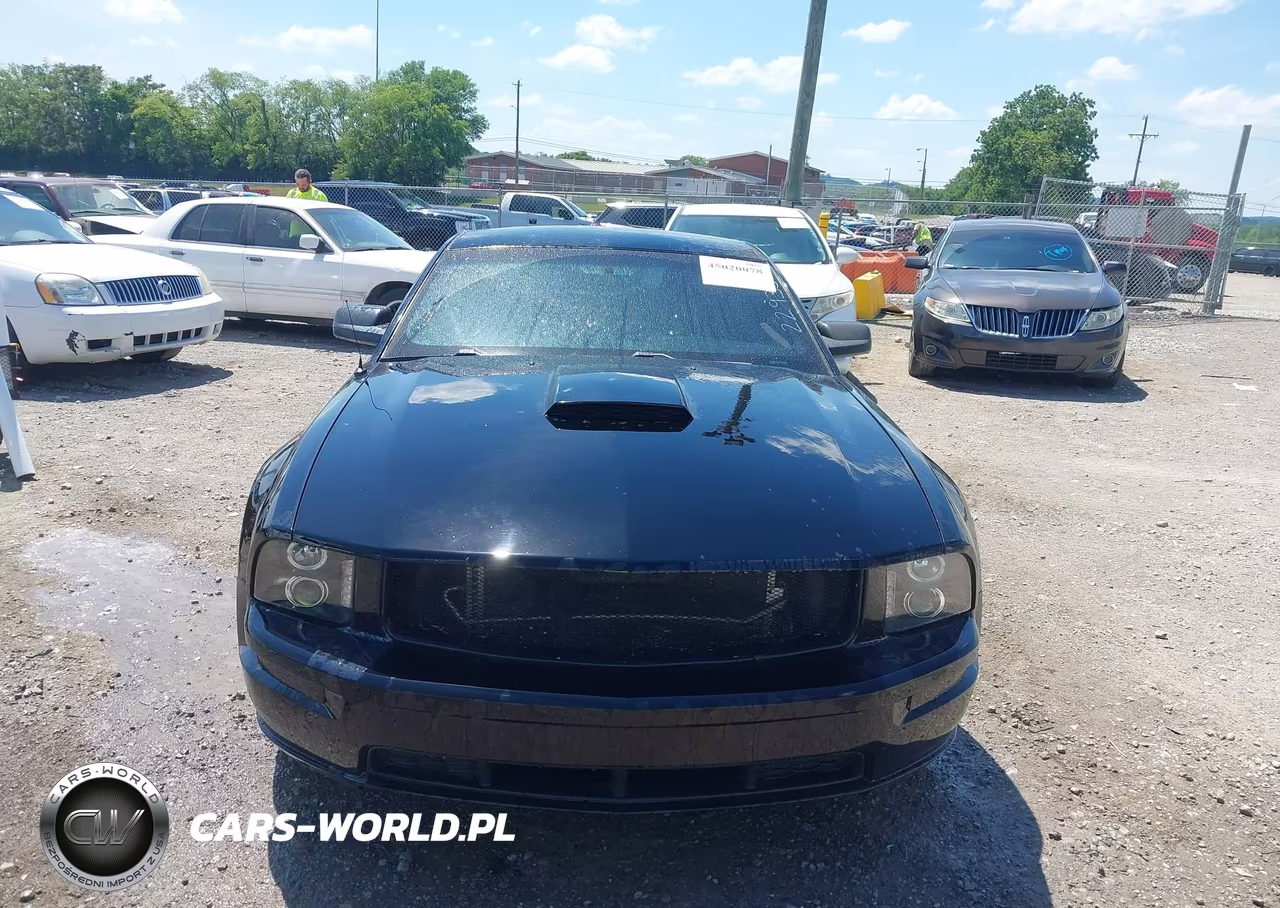 2006 Ford Mustang Gt VIN:1ZVFT82H765229352 - 12