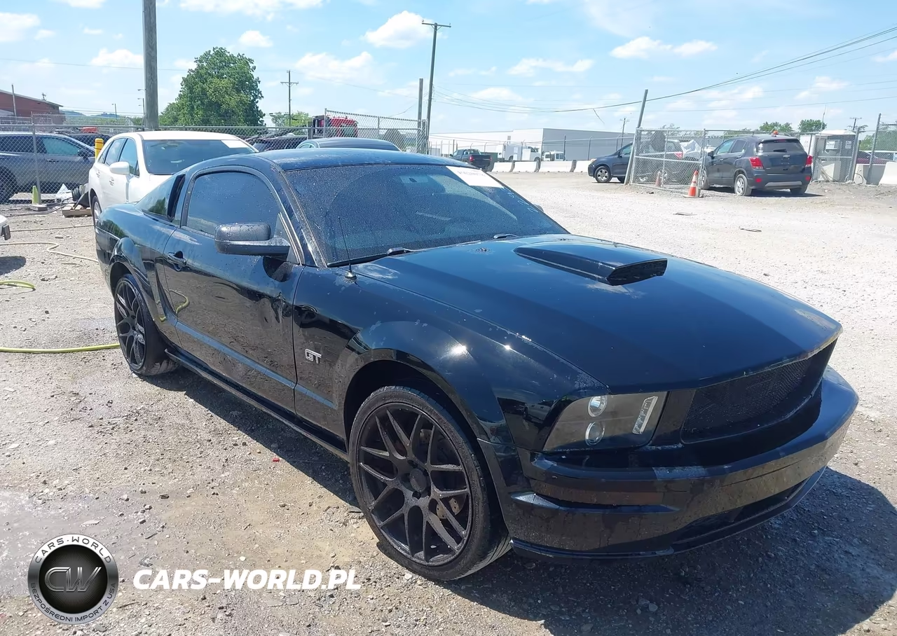 2006 Ford Mustang Gt VIN:1ZVFT82H765229352 - 13
