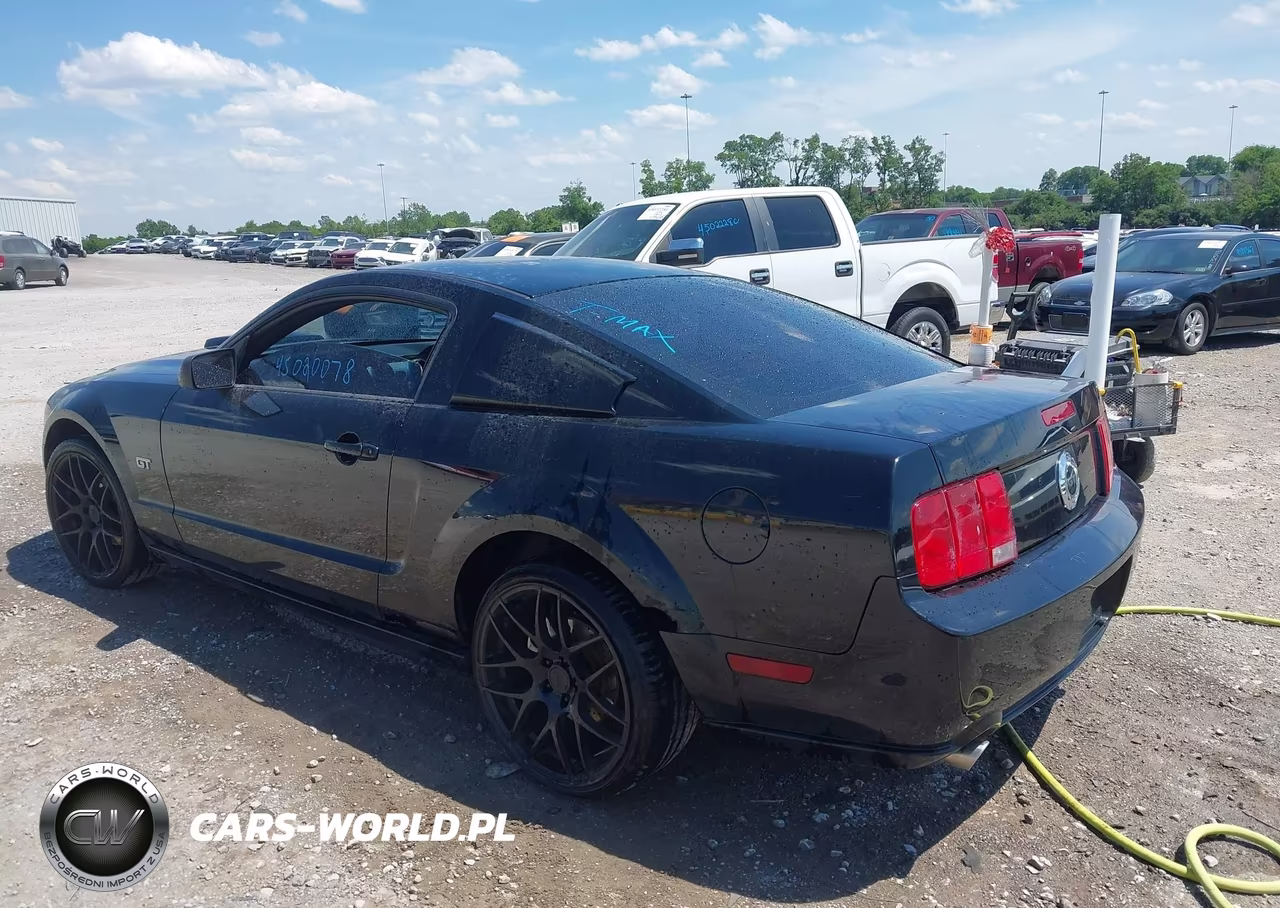 2006 Ford Mustang Gt VIN:1ZVFT82H765229352 - 14