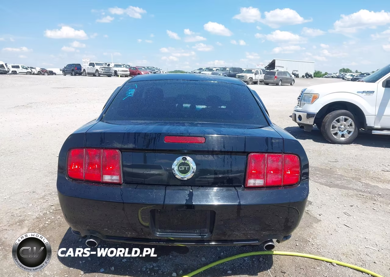 2006 Ford Mustang Gt VIN:1ZVFT82H765229352 - 16