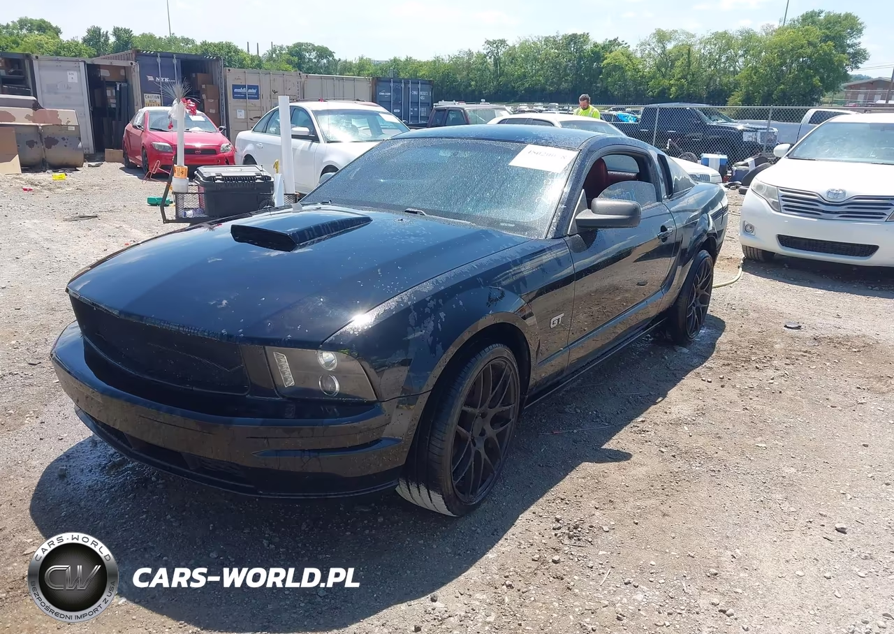 2006 Ford Mustang Gt VIN:1ZVFT82H765229352 - 2