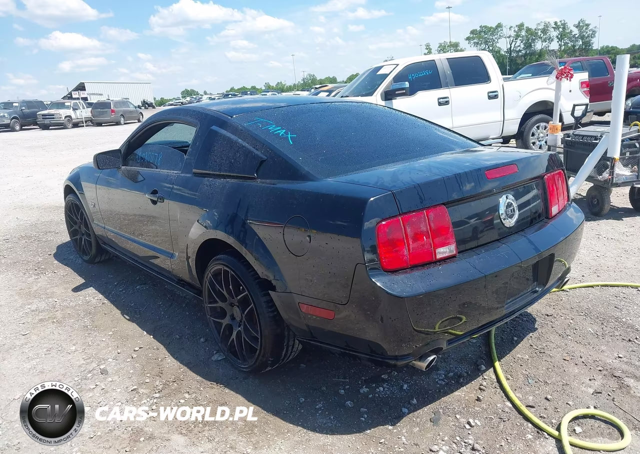 2006 Ford Mustang Gt VIN:1ZVFT82H765229352 - 3