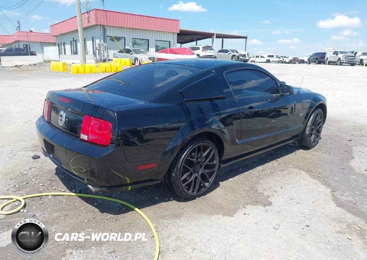 2006 Ford Mustang Gt VIN:1ZVFT82H765229352 - 4