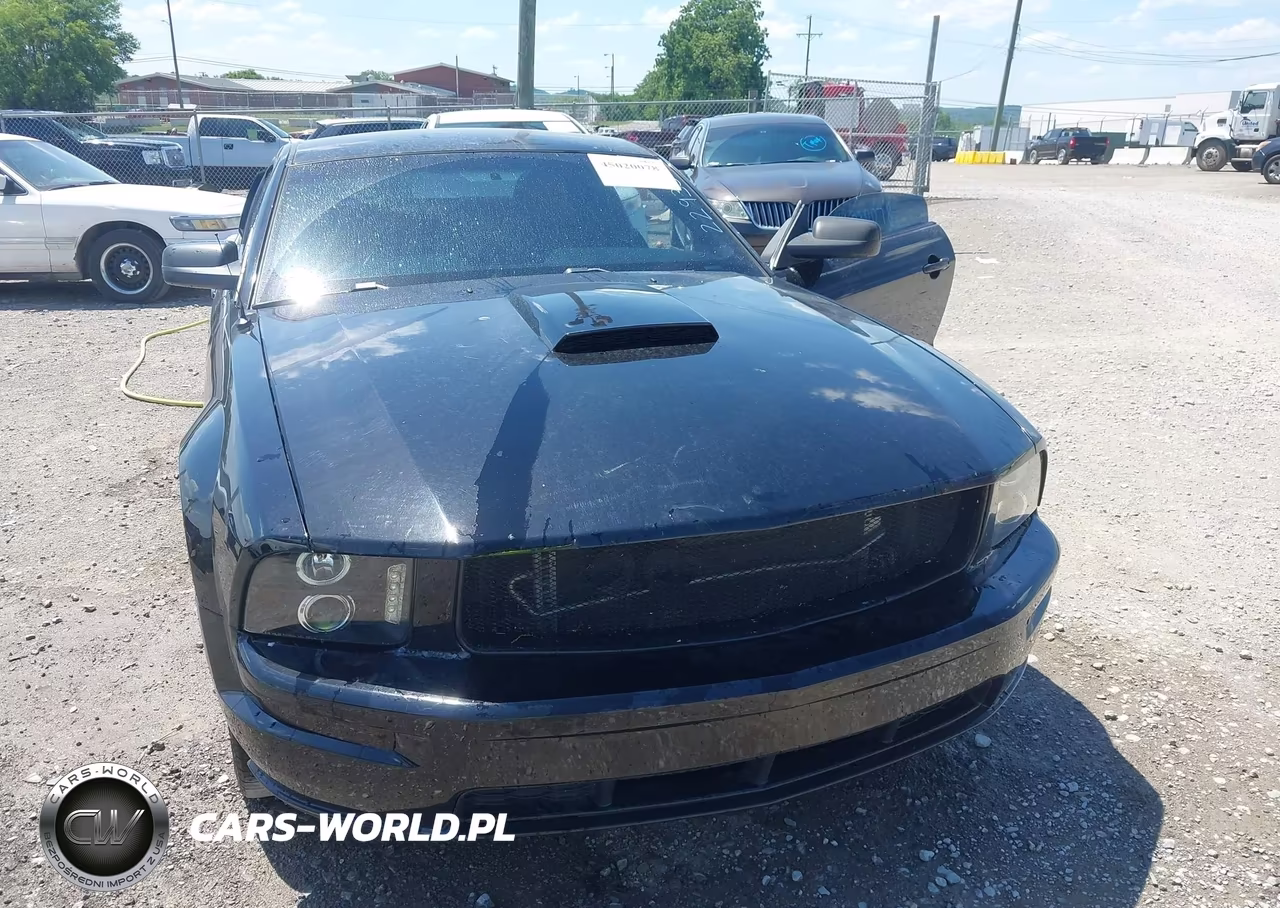 2006 Ford Mustang Gt VIN:1ZVFT82H765229352 - 6