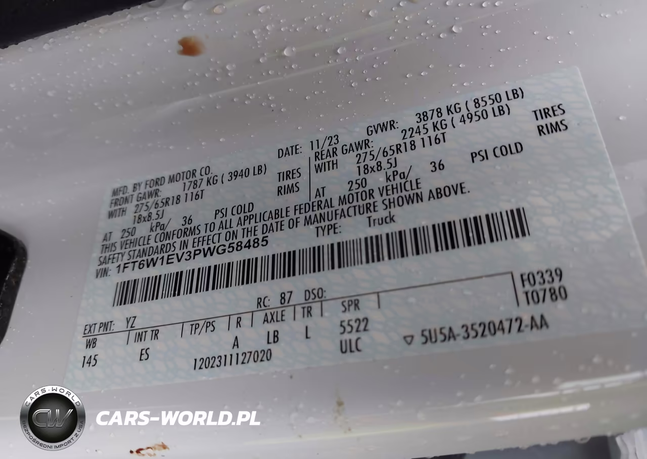 2023 Ford F-150 Lightning Pro VIN:1FT6W1EV3PWG58485 - 9