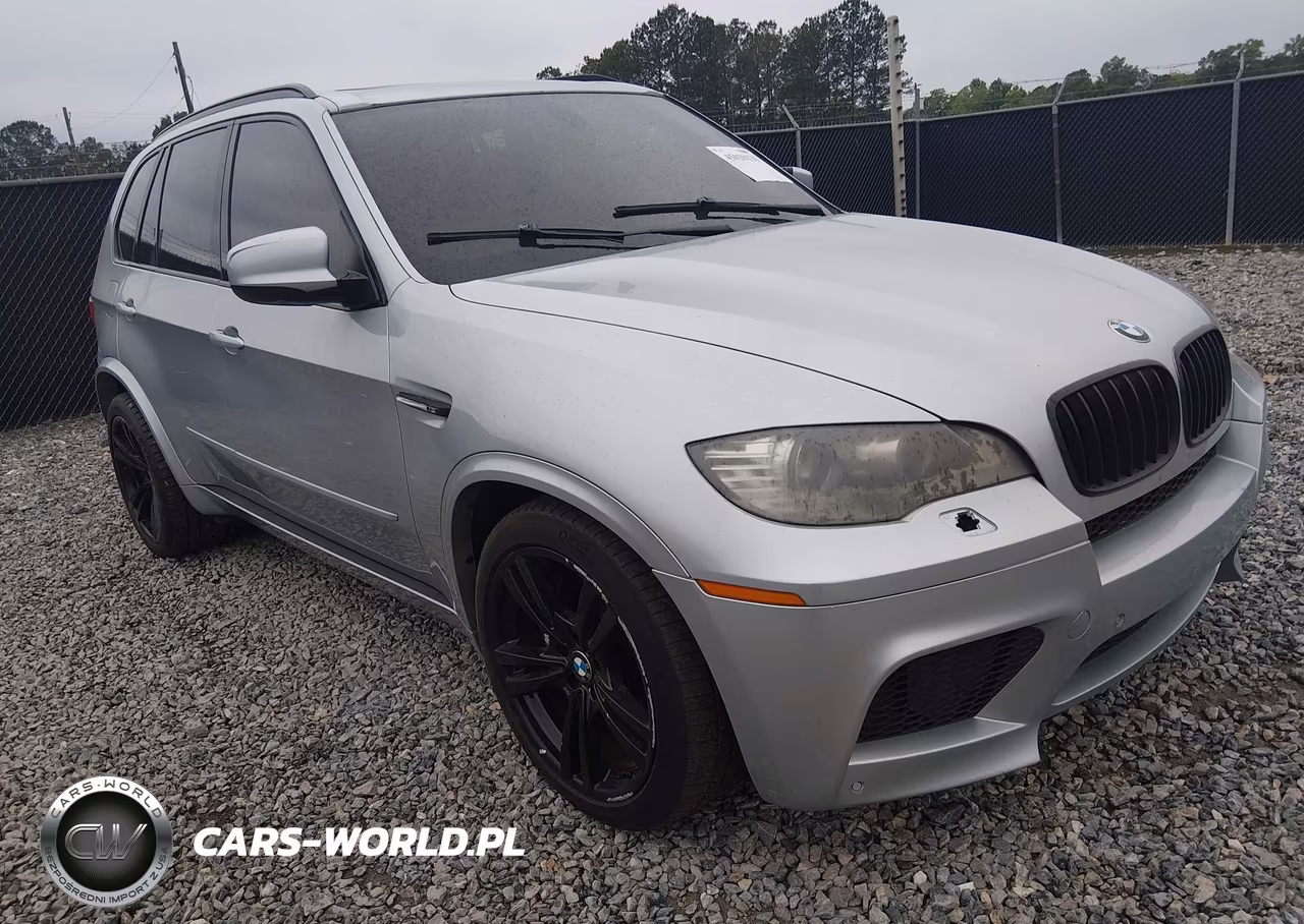 2010 BMW X5 M