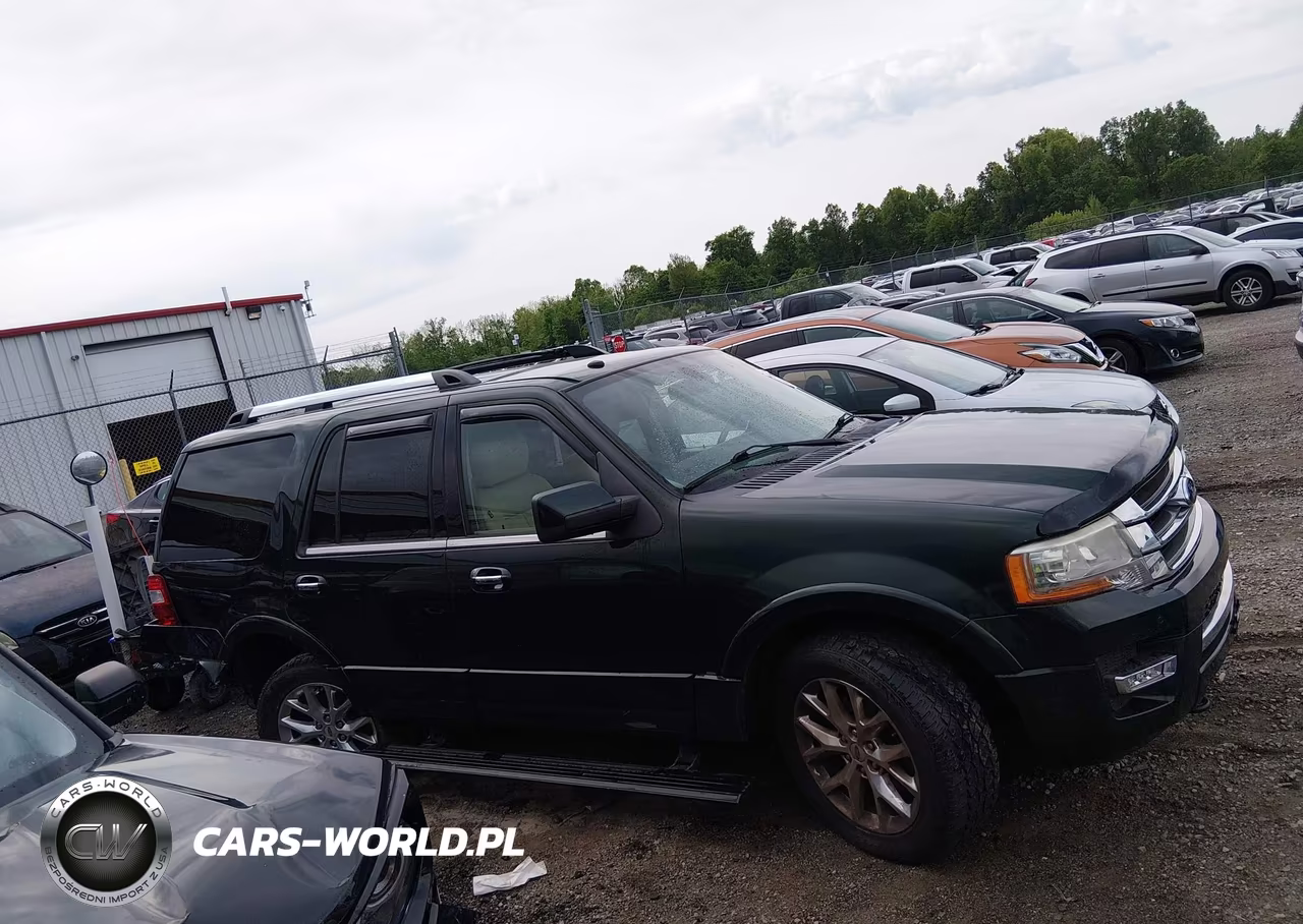 2016 Ford Expedition Limited VIN:1FMJU2AT4GEF00040 - 14