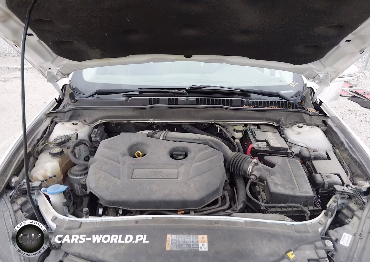 2014 Ford Fusion Titanium VIN:3FA6P0K97ER208844 - 10