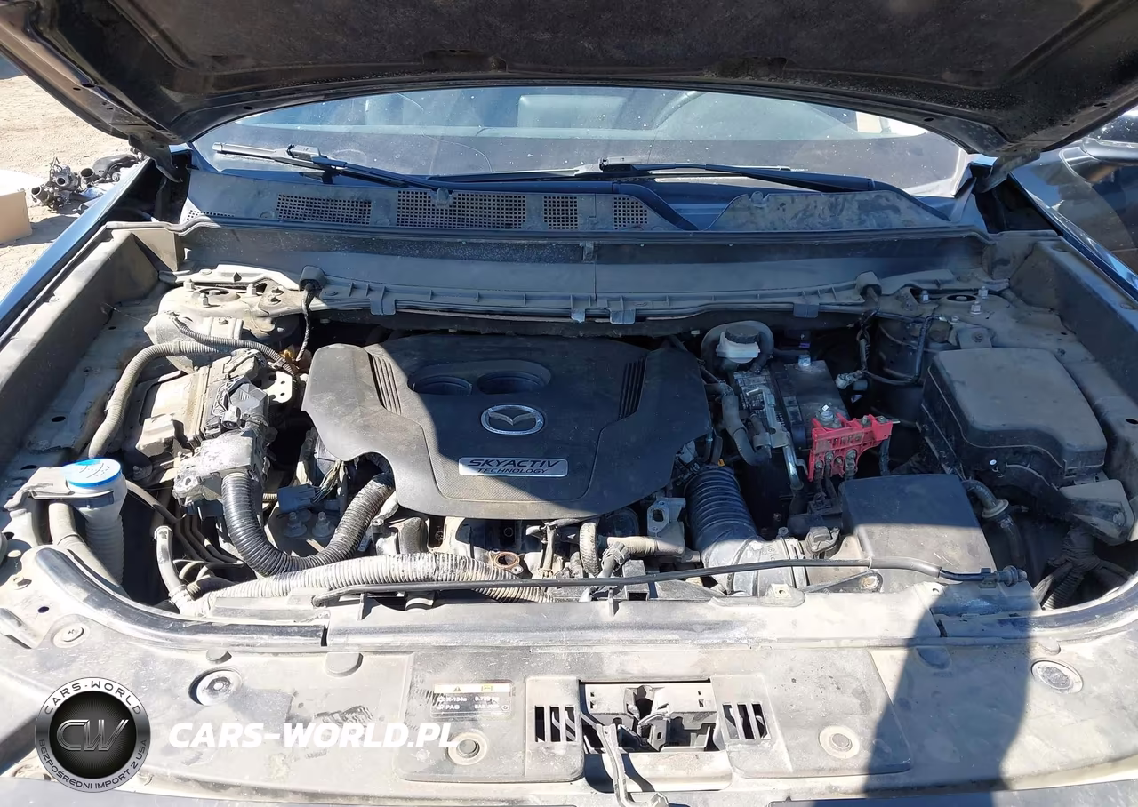 2016 Mazda Cx-9 Sport VIN:JM3TCBBY3G0109511 - 10