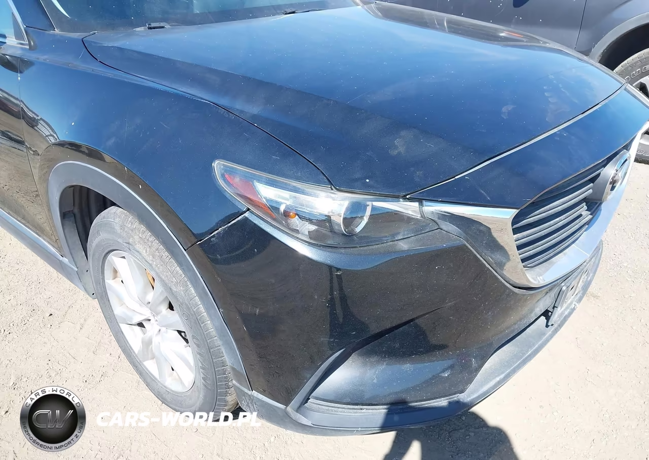 2016 Mazda Cx-9 Sport VIN:JM3TCBBY3G0109511 - 19