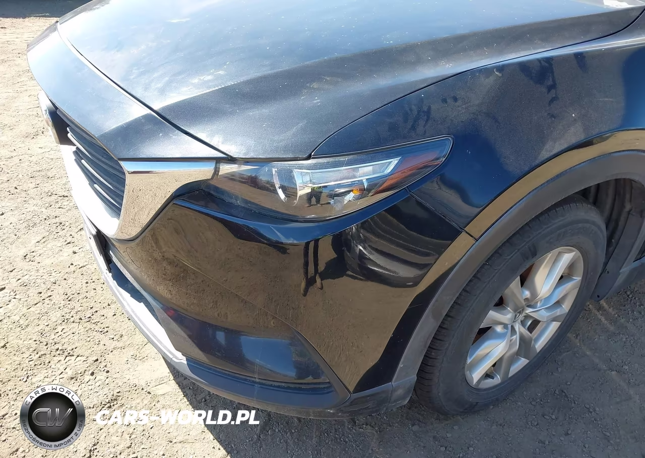 2016 Mazda Cx-9 Sport VIN:JM3TCBBY3G0109511 - 20