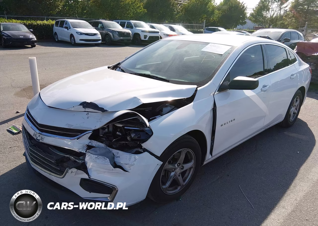 2018 Chevrolet Malibu 1Fl VIN:1G1ZC5ST9JF160940 - 2
