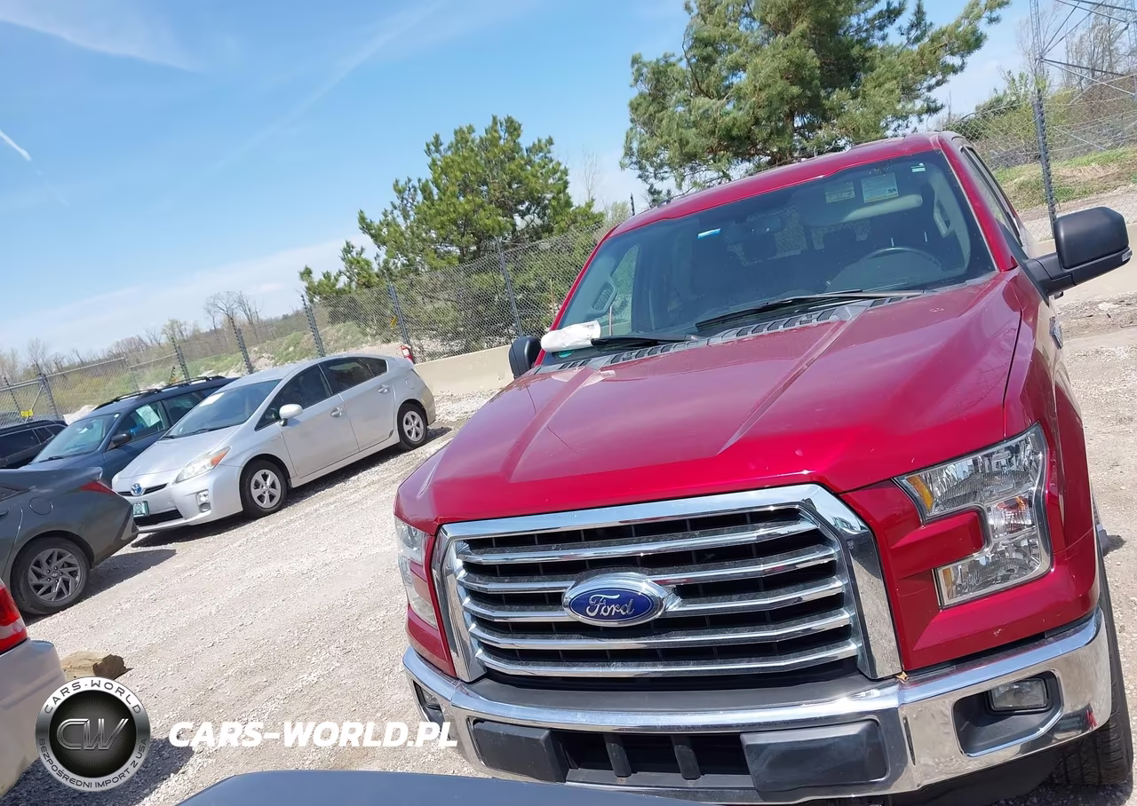 2015 Ford F-150 Xlt VIN:1FTEW1EG3FFC88781 - 11