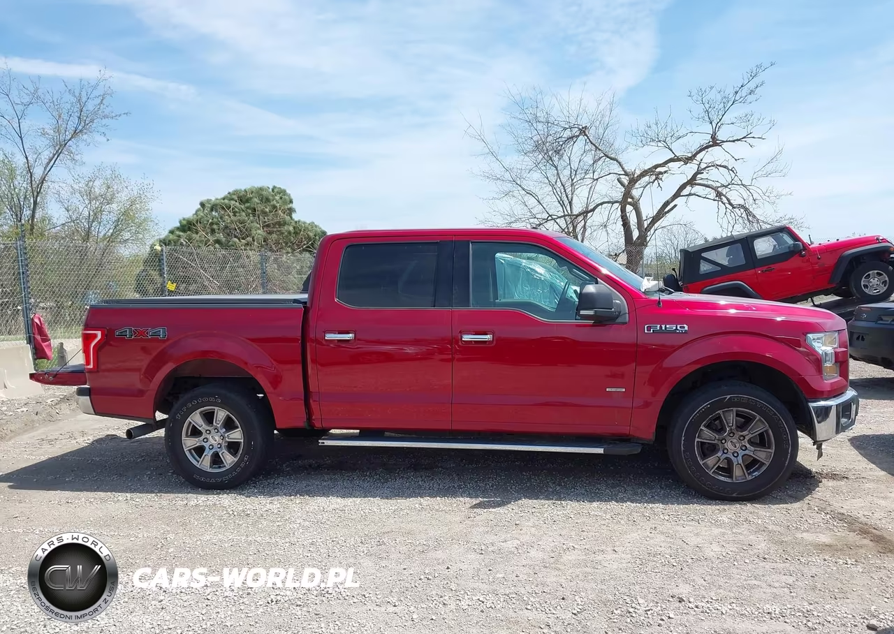 2015 Ford F-150 Xlt VIN:1FTEW1EG3FFC88781 - 12