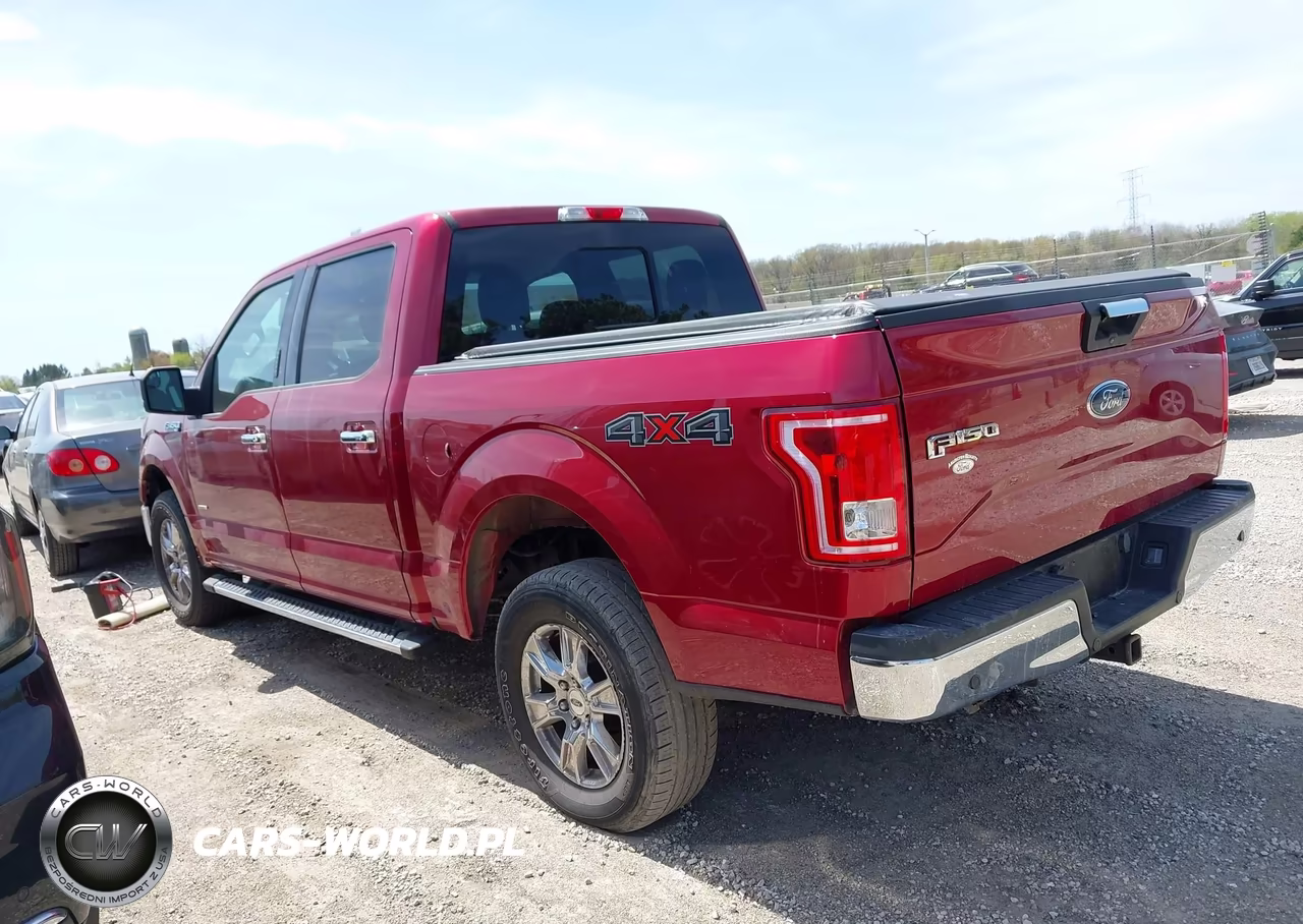 2015 Ford F-150 Xlt VIN:1FTEW1EG3FFC88781 - 13