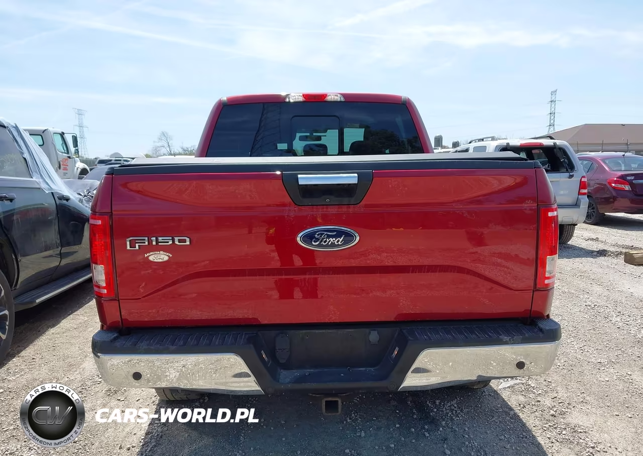 2015 Ford F-150 Xlt VIN:1FTEW1EG3FFC88781 - 15