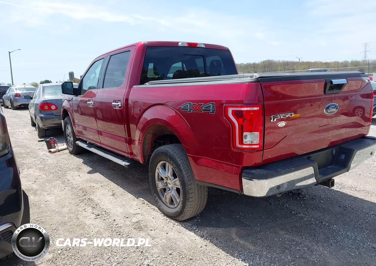 2015 Ford F-150 Xlt VIN:1FTEW1EG3FFC88781 - 3
