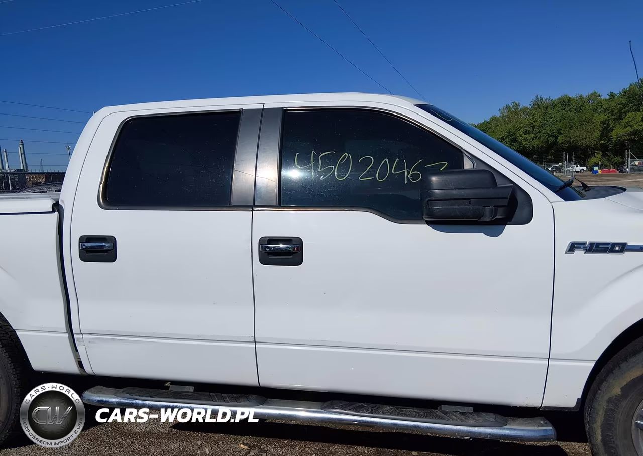 2010 Ford F-150 Fx4-Harley-Davidson-King Ranch-Lariat-Platinum-Xl-Xlt VIN:1FTFW1EV2AFD12077 - 13