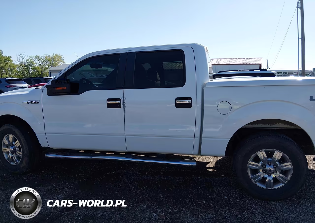 2010 Ford F-150 Fx4-Harley-Davidson-King Ranch-Lariat-Platinum-Xl-Xlt VIN:1FTFW1EV2AFD12077 - 14