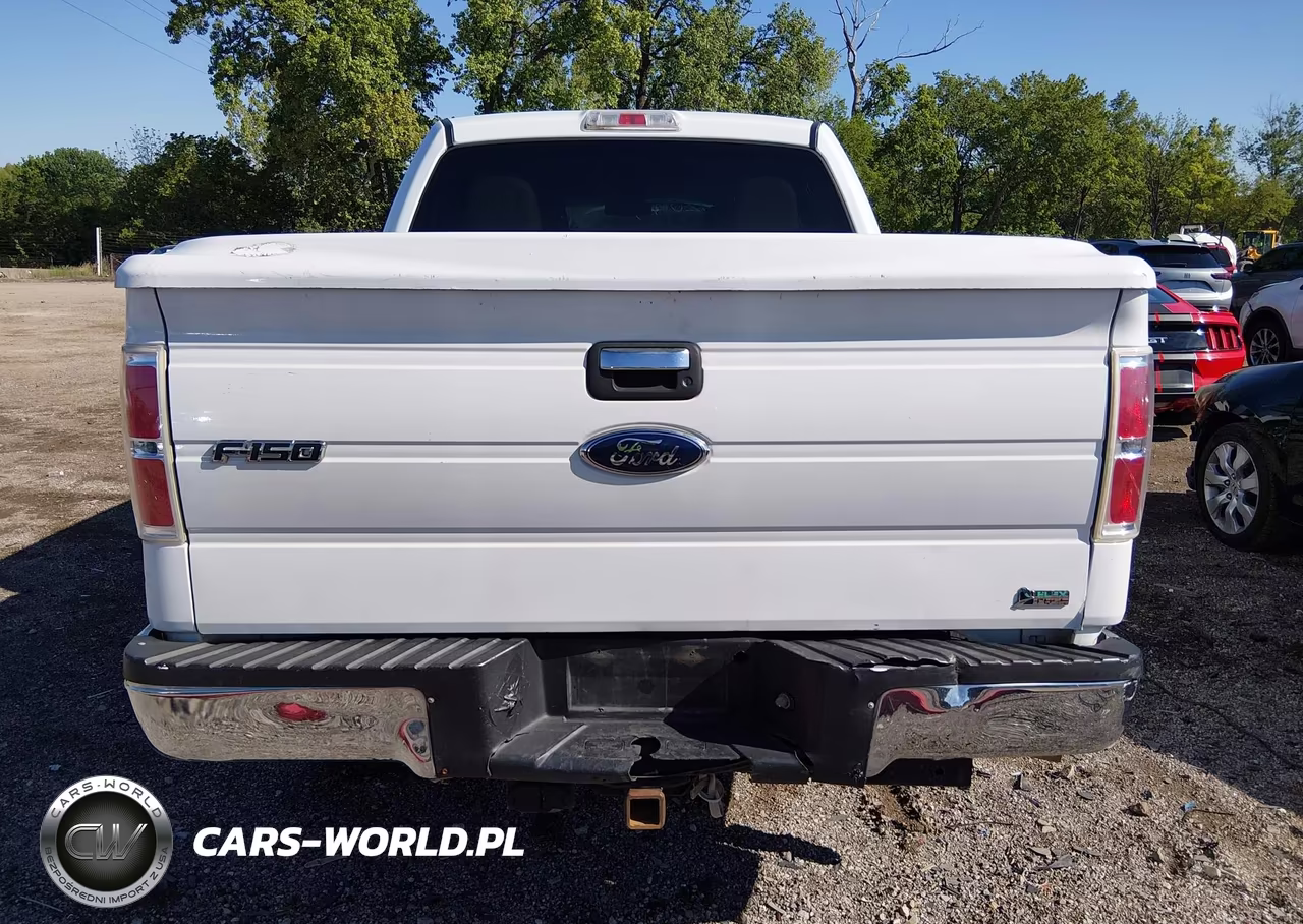 2010 Ford F-150 Fx4-Harley-Davidson-King Ranch-Lariat-Platinum-Xl-Xlt VIN:1FTFW1EV2AFD12077 - 16