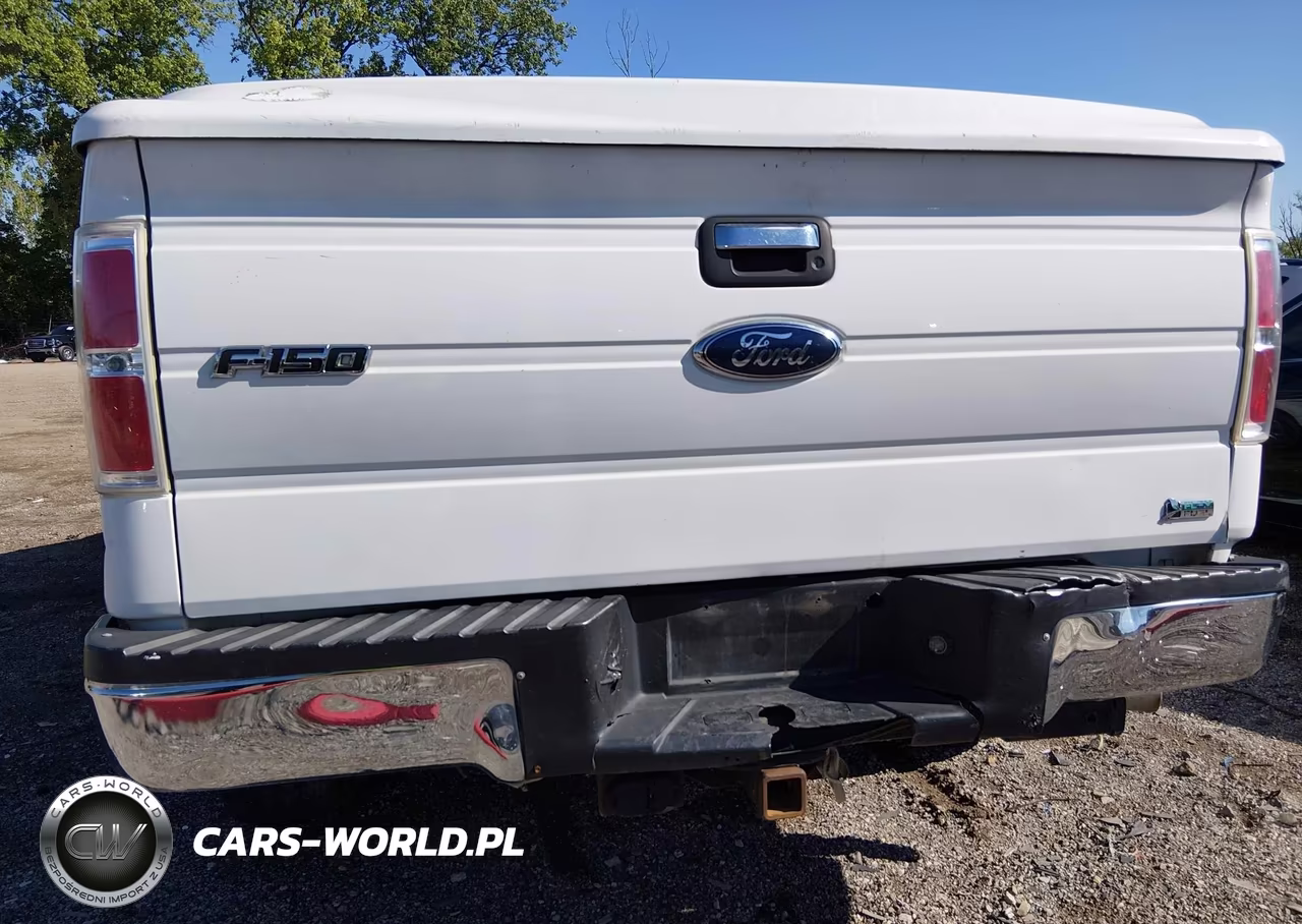 2010 Ford F-150 Fx4-Harley-Davidson-King Ranch-Lariat-Platinum-Xl-Xlt VIN:1FTFW1EV2AFD12077 - 17