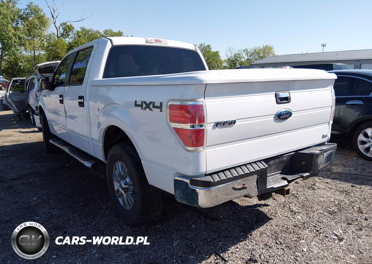 2010 Ford F-150 Fx4-Harley-Davidson-King Ranch-Lariat-Platinum-Xl-Xlt VIN:1FTFW1EV2AFD12077 - 3