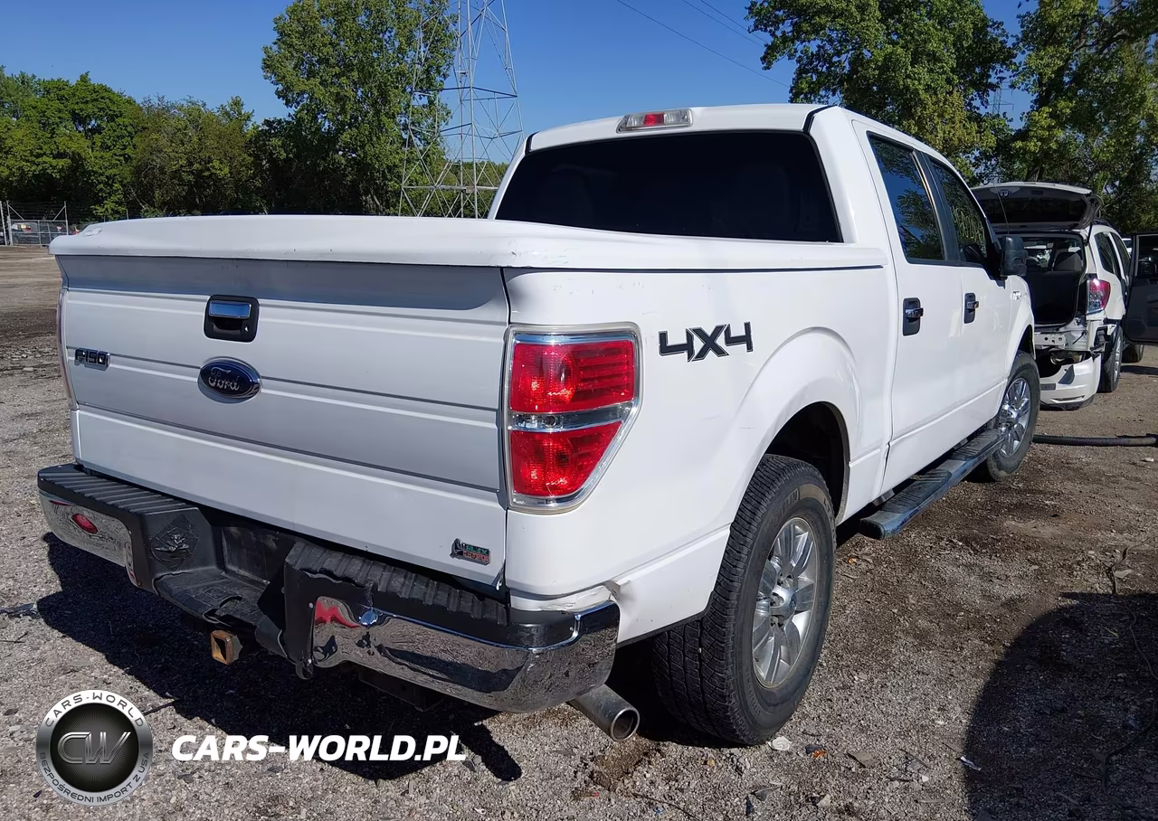 2010 Ford F-150 Fx4-Harley-Davidson-King Ranch-Lariat-Platinum-Xl-Xlt VIN:1FTFW1EV2AFD12077 - 4