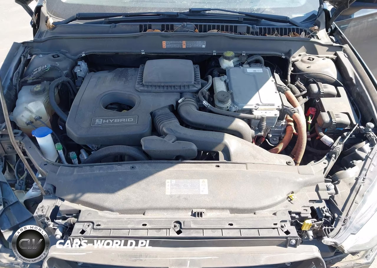 2017 Ford Fusion Hybrid Se VIN:3FA6P0LU1HR265919 - 10