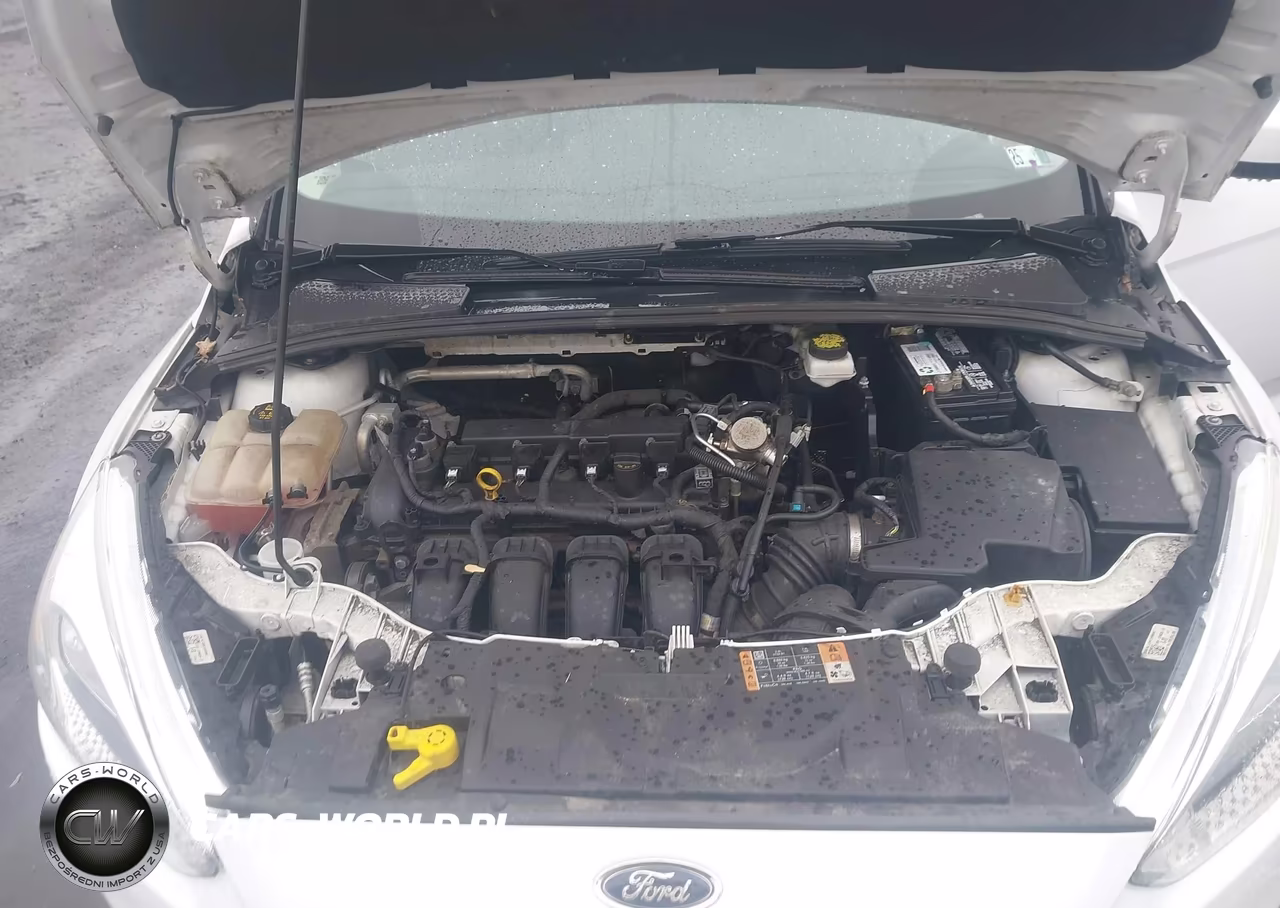 2018 Ford Focus Se VIN:1FADP3F23JL250541 - 10