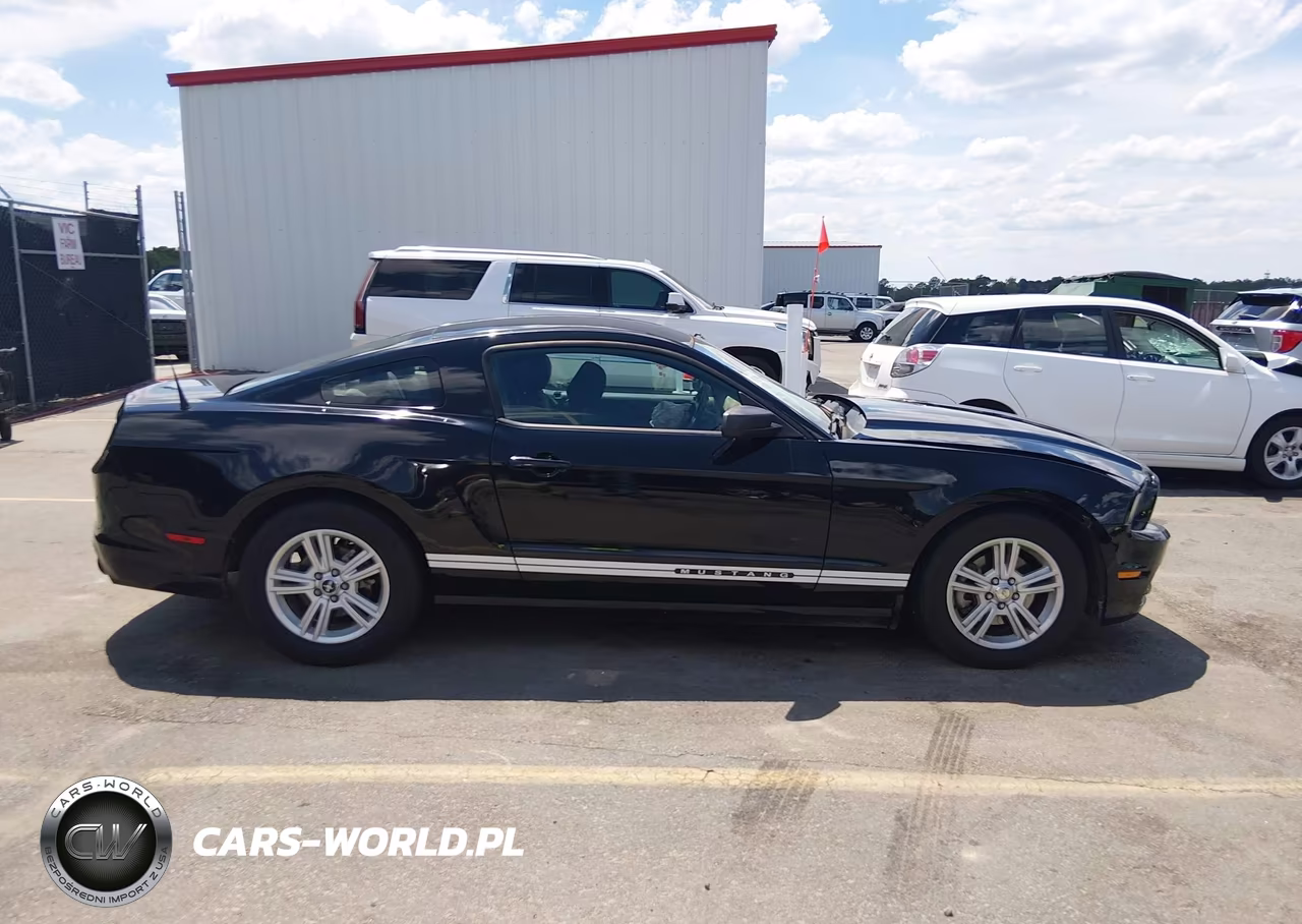 2014 Ford Mustang V6 VIN:1ZVBP8AM9E5303516 - 14