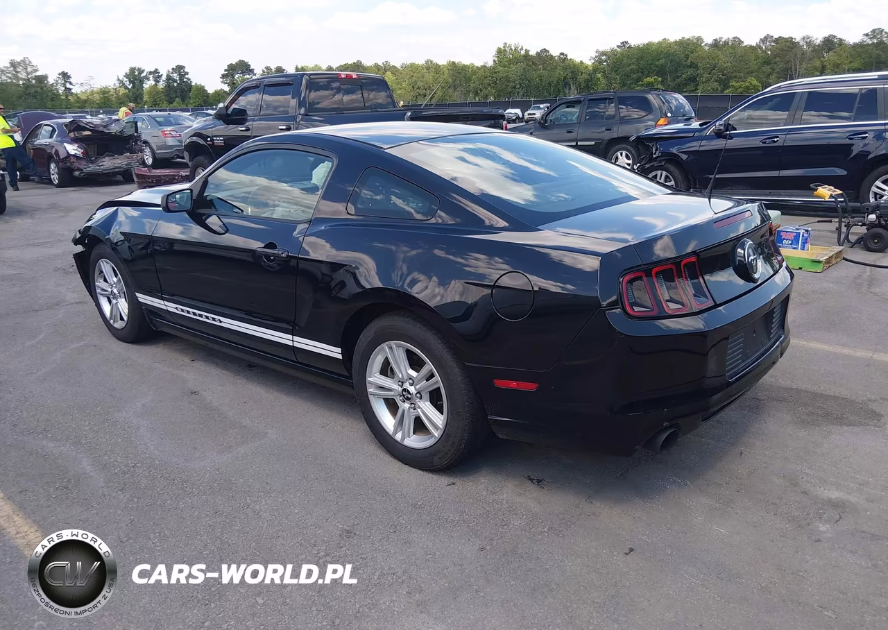 2014 Ford Mustang V6 VIN:1ZVBP8AM9E5303516 - 3