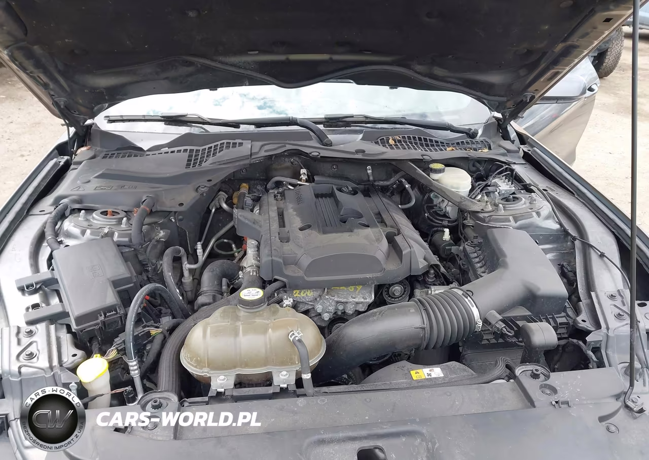 2015 Ford Mustang Ecoboost Premium VIN:1FATP8UH9F5419800 - 10