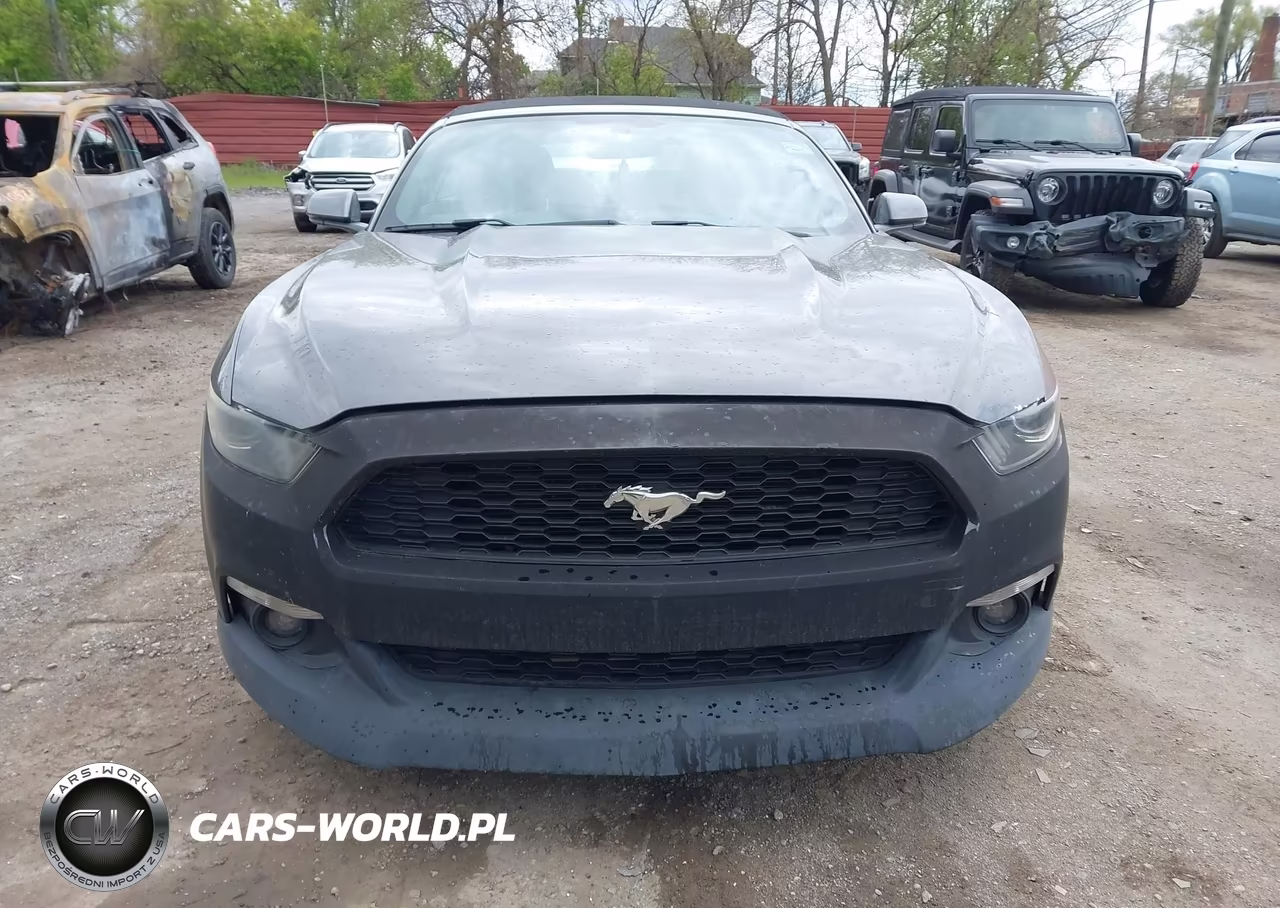 2015 Ford Mustang Ecoboost Premium VIN:1FATP8UH9F5419800 - 12