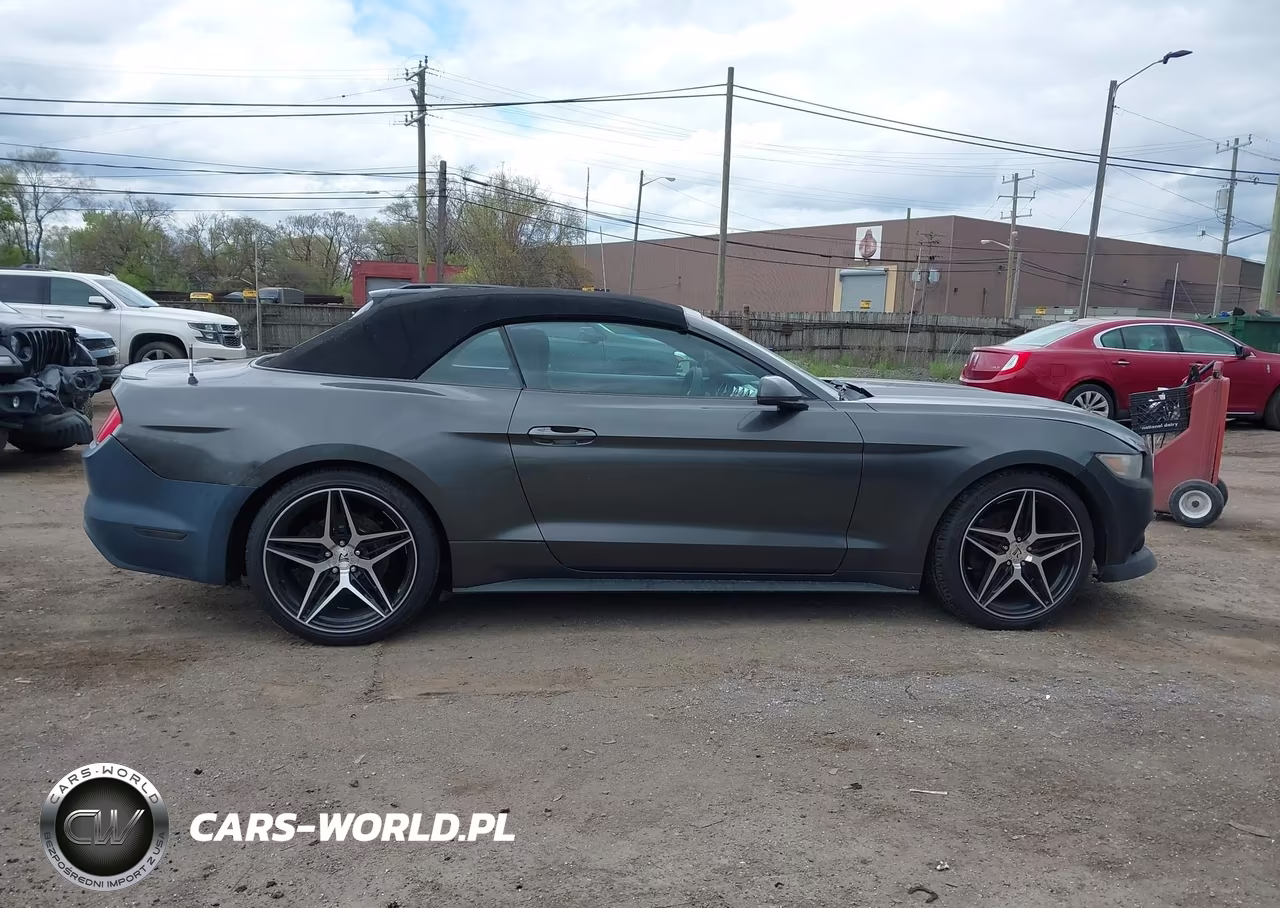 2015 Ford Mustang Ecoboost Premium VIN:1FATP8UH9F5419800 - 13