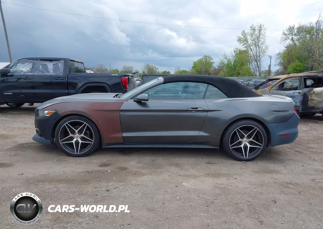 2015 Ford Mustang Ecoboost Premium VIN:1FATP8UH9F5419800 - 14