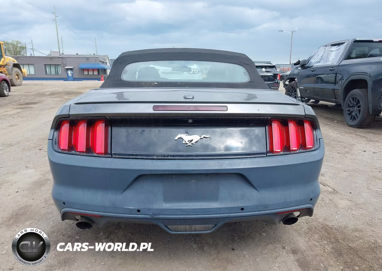 2015 Ford Mustang Ecoboost Premium VIN:1FATP8UH9F5419800 - 16