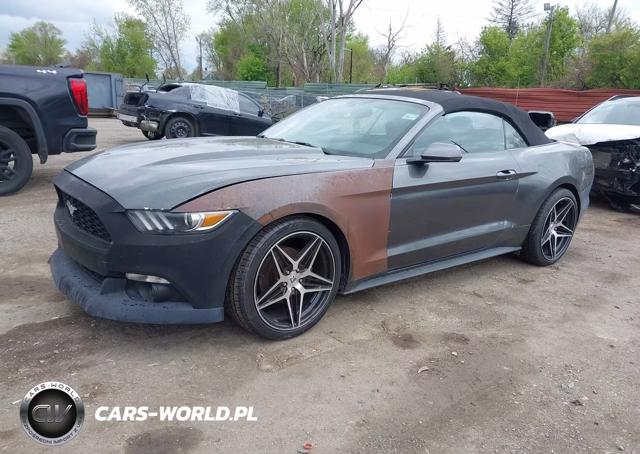 2015 Ford Mustang Ecoboost Premium VIN:1FATP8UH9F5419800 - 2