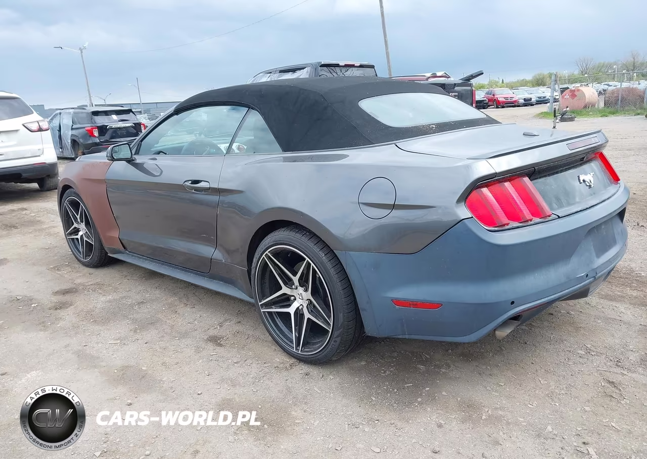2015 Ford Mustang Ecoboost Premium VIN:1FATP8UH9F5419800 - 3