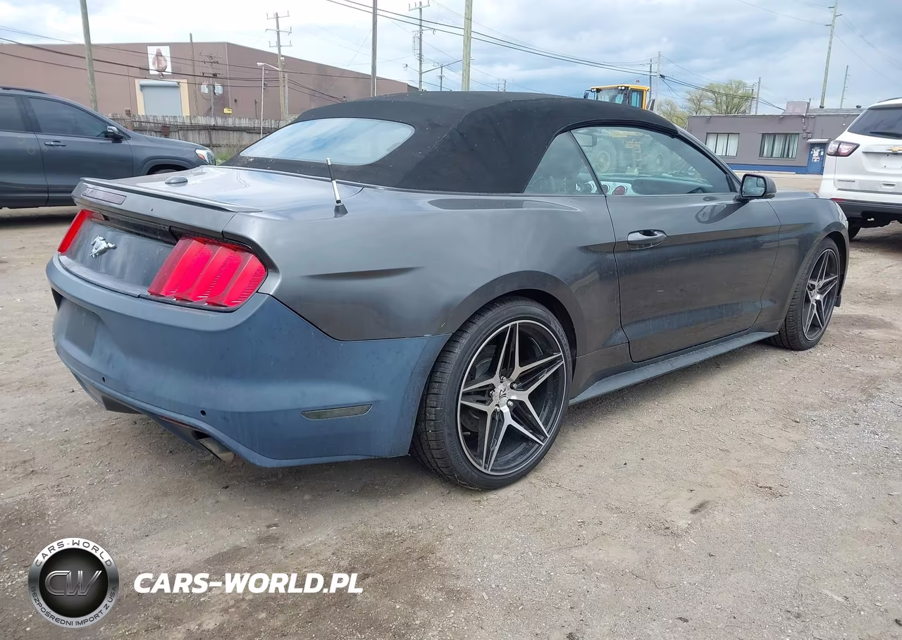 2015 Ford Mustang Ecoboost Premium VIN:1FATP8UH9F5419800 - 4