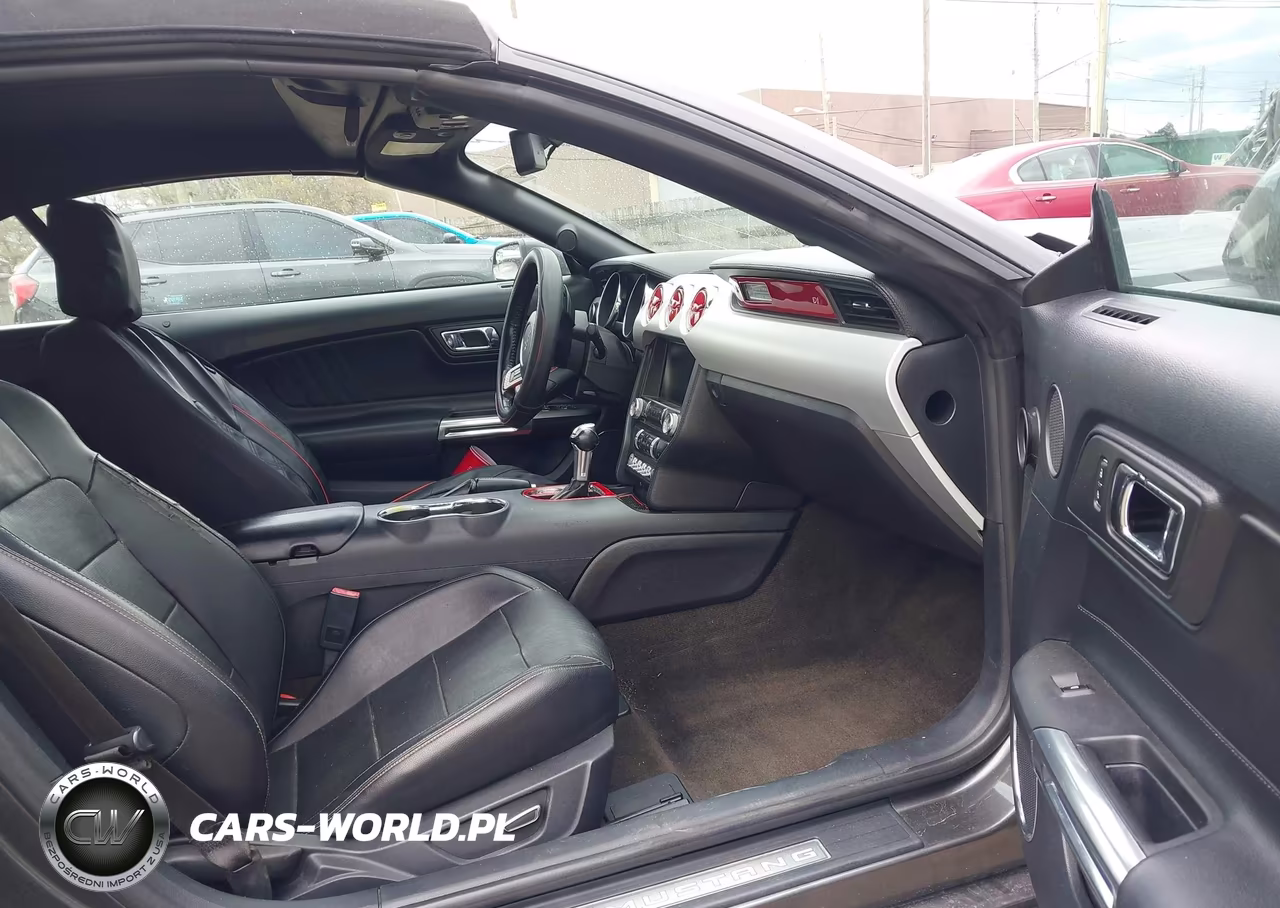 2015 Ford Mustang Ecoboost Premium VIN:1FATP8UH9F5419800 - 5